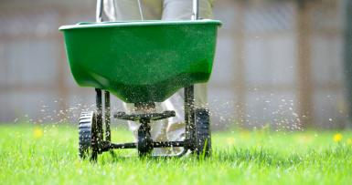 lawn technician fertilizing green grass